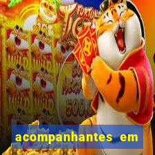 acompanhantes em altos pi